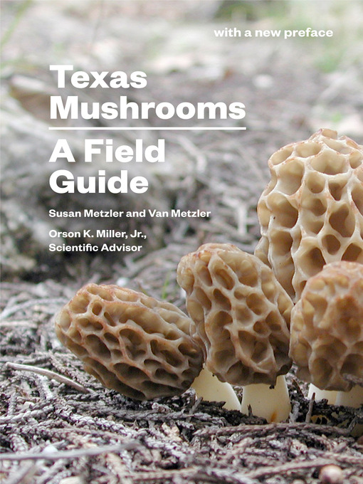 Title details for Texas Mushrooms: a Field Guide by Susan Metzler - Available